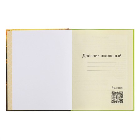Diary for grades 1-4, hard cover "duckling", matte lamination, selective varnish, block 60 g/m2-4