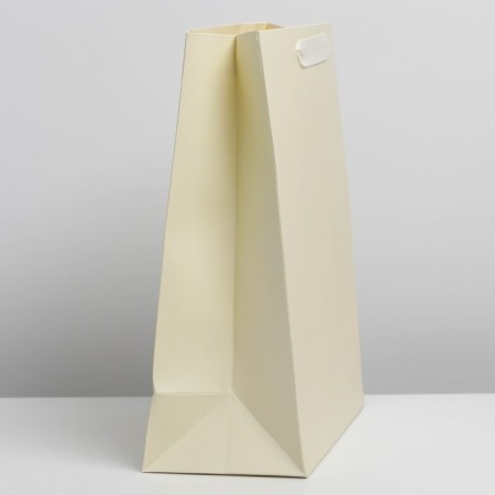 Gift laminated package, packaging, "milk", m 26 x 30 x 9 cm-1