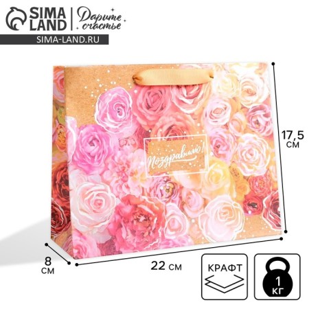 Package Gift Crafts, Packaging, "Congratulations", 22 x 17.5 x 8 cm