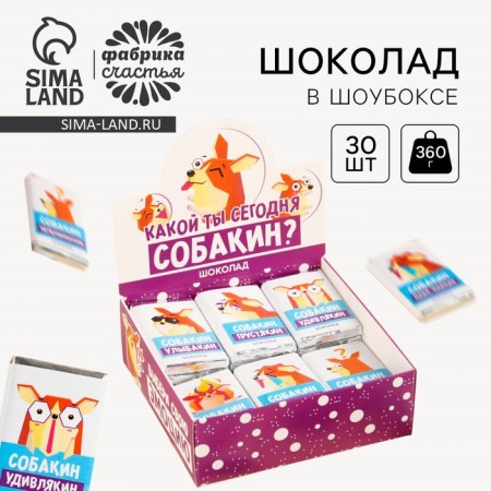 Chocolate in the Showbox "Sobakin", 360 g (12 g x 30 pcs.)