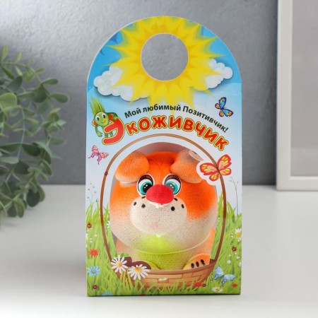 Growing gift Eco -Zhizhivchik "Squirrel Novice" mix-4