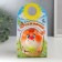 Growing gift Eco -Zhizhivchik "Squirrel Novice" mix
