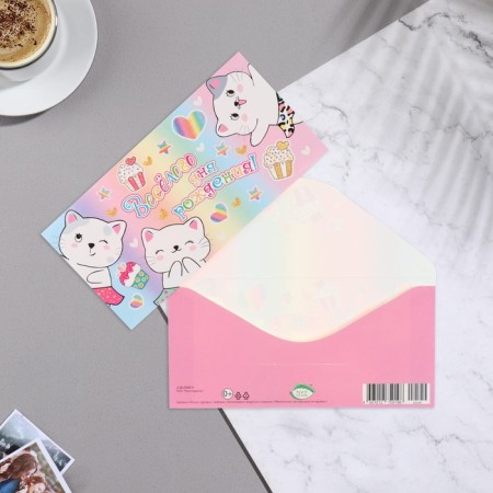 The envelope for the money "Fun birthday!" Glitter, Congrev, cats, cupcakes, 16.8x8.3 cm