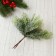 Decor "Juniper Shine" 15 cm