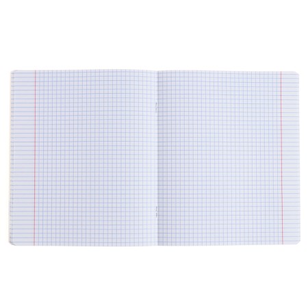 Subject notebook, 48 sheets, cage, history, Erichkrause "BENFORMED", plastic cover silk-screen cover, OFSET BELICE 100%, info block-4