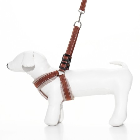 The ammunition set is soft, reflective, leash 120 x 2 cm, Osh 46-69 cm, brown-1