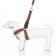The ammunition set is soft, reflective, leash 120 x 2 cm, Osh 46-69 cm, brown