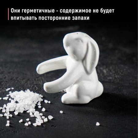 Набор для специй Доляна «Зайка», 2 предмета: солонка 50 мл, перечница 40 мл, цвет белый-4