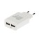 EXPLOYD EX-Z-1425, 2 USB, 2.4 A, Type-C cable, 1 m, white.