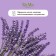 BIOMIO BIO-SOAP LAVANDA and JASMINA toilet soap, 90 g