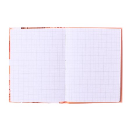 Notepad A6, 40 sheets in the Apricot Crush cage, hard cover, glossy lamination, offset block-3