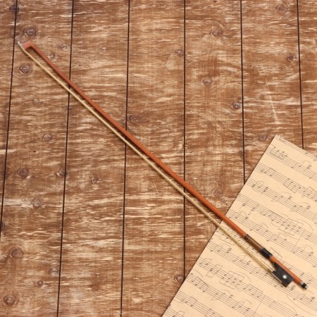 Music Life 4/4 High Quality, 74.5 cm violin