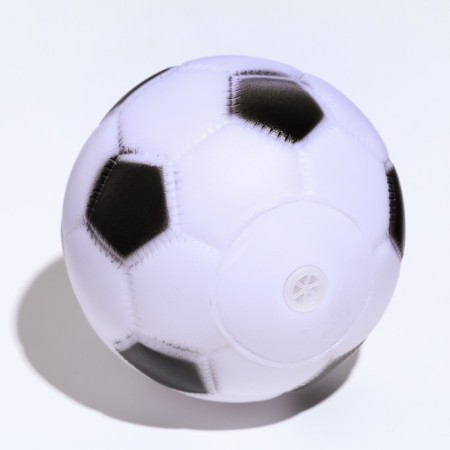 Brying toy "Ball Football" for dogs, 6.2 cm, white-1