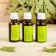 A set of essential oils "Pine. Lemon. Eucalypt", 3 pcs of 17 ml