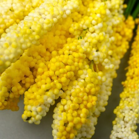 Decor for creativity "Ivan Tea" 1 bouquet = 10 yellow flowers 1.5x14 cm-3