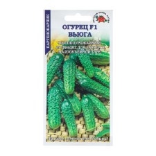 Cucumber seeds 