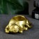 Cat Clobberry Golden Gold, 11x7x3cm
