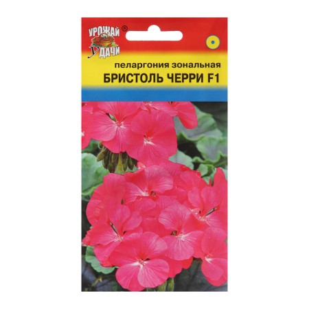 Flower seeds Pelargonium "Bristol Cherry", F1, 5.6 pcs
