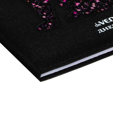 Universal diary for grade 1-11 CAT, hard cover, artificial leather, foam rubber, liescse, 80 g/m2-2