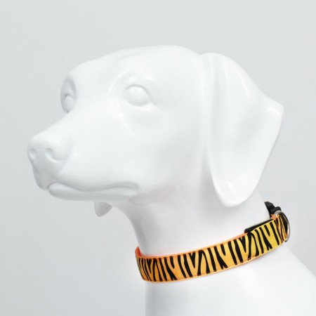 Collar with backlight tiger 3 glow modes size XL, Osh 60-70 x 2.5 cm orange-3
