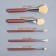 A set of makeup brushes, 5 objects, pink color