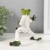 Souvenir Polystone Lak "Frog-Caratist" 16.5x5x12.5 cm