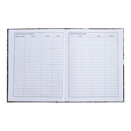 Universal diary for grades 1-11 Selena and Wolf, solid cover, matte lamination, 40 sheets-4