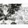 Fiery blow 2. Fujimoto T.
