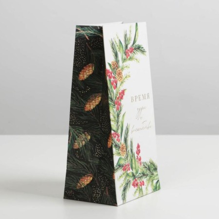 Package without pens "Time of Magic", 10 x 19.5 x 7 cm, New Year-2