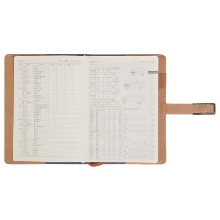 Organizer A5, with a refrain, 100 sheets, line, PVC cover, mix-2