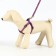 Set "Star Bones", leash 120 x 1 cm, fire 23-35 cm, purple