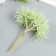 Decor for creativity "Spangum" 1 bouquet = 6 colors light green 5x13.5 cm