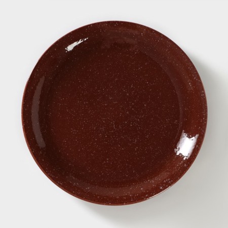 Plate plate "Marble", D = 24 cm