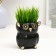 Figure Kashpo "Council" 0.35l, black with gold, 10x11x10cm