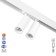 TRUKOL LOMK ULTRA "Accent Duo" 2hLED 18W 3000k-5700k CRI90 White