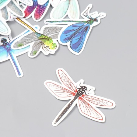 Stickers for the creativity "Dragonfly" set 50 pcs 4x8 cm-1