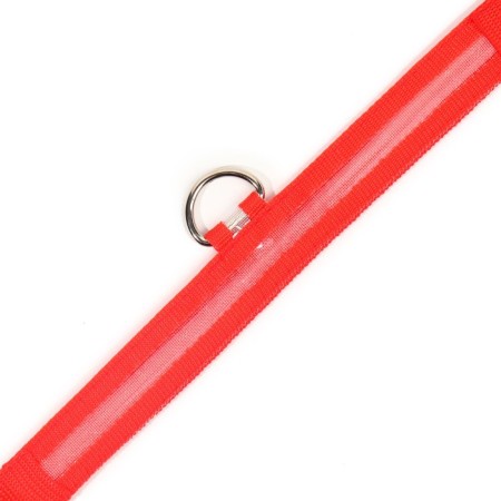 Collar with backlight size XL, Osh 52-60 x 2.5 cm, 3 glow modes red-8
