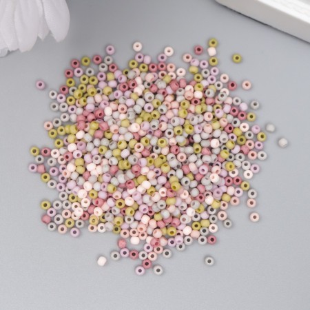 Glass beads 11/0 "Matte. Melange Autumn" 10 g