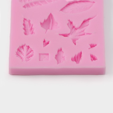Mold Dolyana "Herbarium", silicone, 8 × 5 × 0.8 cm, color mix-2