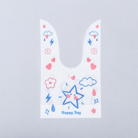 Gift package 13x23cm-4