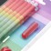 A set of pencils 12 pieces+1 piece, a training simulator for correcting the technique of writing+sharpener