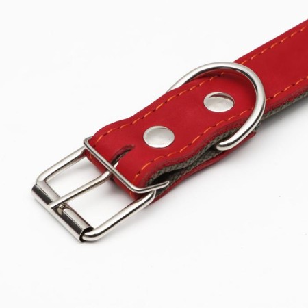 Collar combined leather/tarpaulin, dimensionless, 70 x 3.5 cm, Osh 25-60 cm, red-3