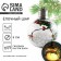 Christmas ball New Year's “Time of Magic”, for the New Year, D = 8 cm.