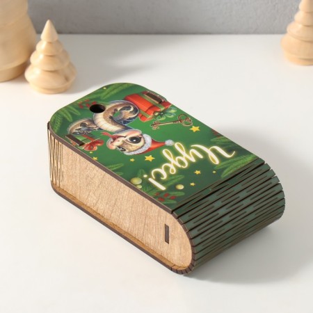 Broke-Kniga "Snake. Miracles" 13x7x4 cm-3