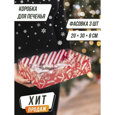 Gift box with PVC "Gift", 20 x 30 x 8 cm, New Year-7