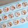 Stickers in the roll "Beast", 500 pcs, 3.8 x 3.8 cm