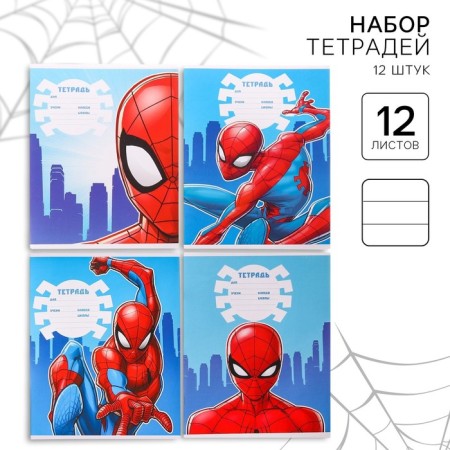A set of notebooks 12 pieces, 12 sheets, September 1, in a ruler, a covered paper cover, spider-man