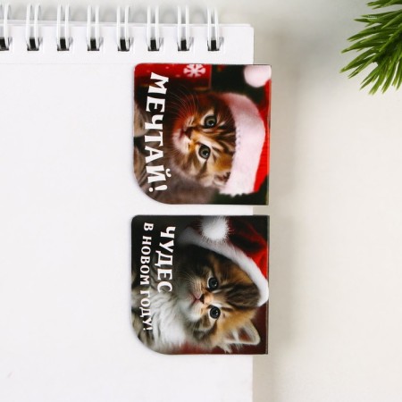 New Year. Bookmarks for books Magnetic 2 pcs on the substrate "Miracles in the New Year!"-1