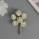 Decor for creativity "peonies" white-green (1 set = 1 bouquet) in the bouquet 6 pcs 2.5x10.5 cm