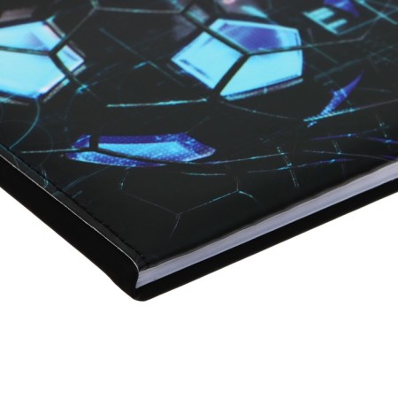 Universal LEADER 1-11 diary, firm covering with foam rubber, artificial leather, silkography, lies, block 80 g/m2-2